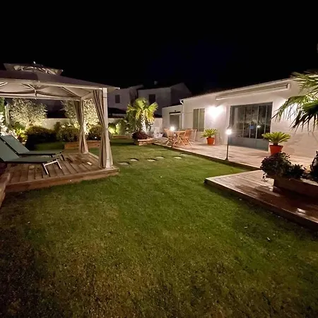 L'oiseliere ------- Nul Part Ailleurs Loix