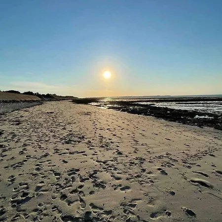 L'oiseliere ------- Nul Part Ailleurs * Loix