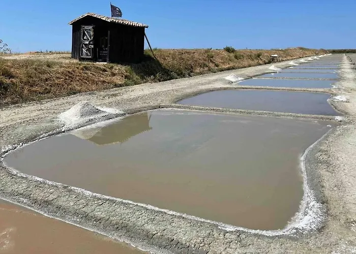 Hébergement de vacances L'oiseliere ------- Nul Part Ailleurs Loix