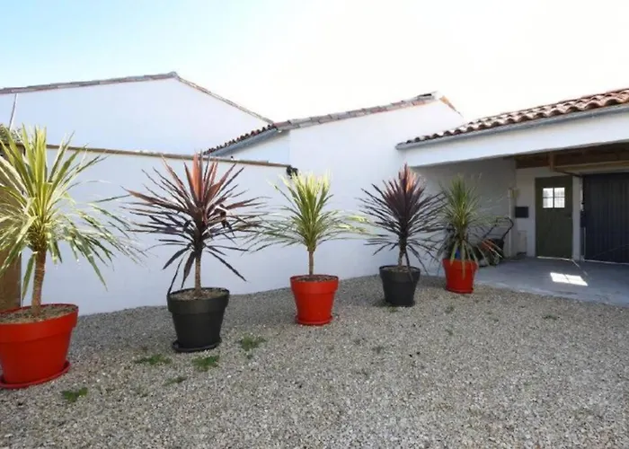 L'oiseliere ------- Nul Part Ailleurs Loix