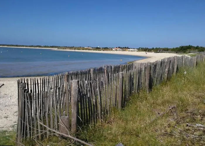 L'oiseliere ------- Nul Part Ailleurs