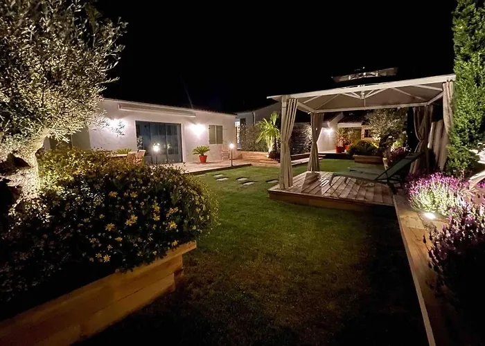 L'oiseliere ------- Nul Part Ailleurs *